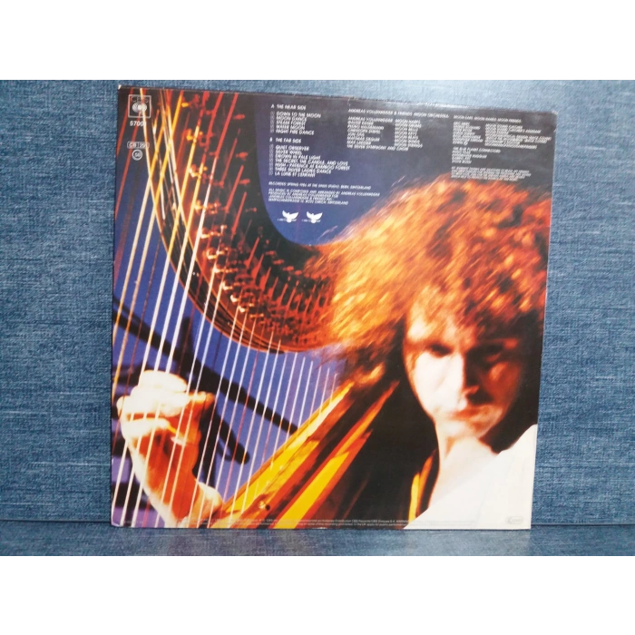 ANDREAS VOLLENWEIDER DOWN ON THE MOON