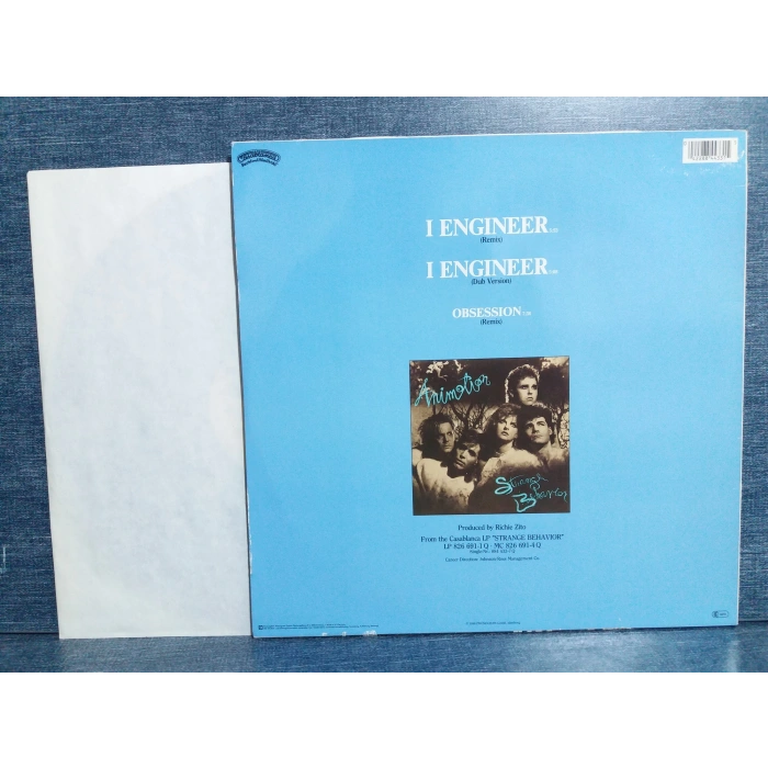 ANIMATION I ENGINEER MAXI LP