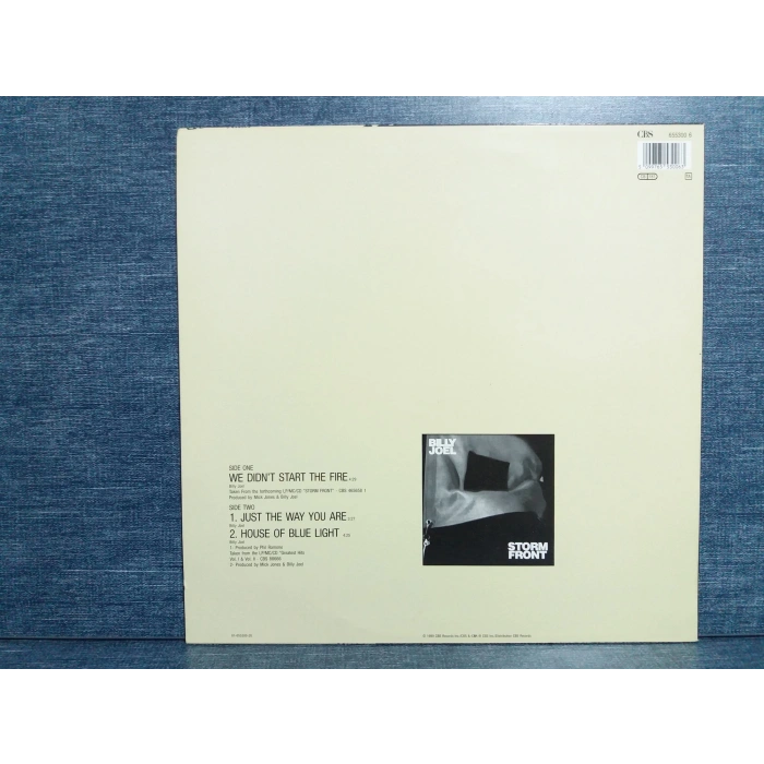 BILLY JOEL WE DIDNT START THE FIRE MAXI LP