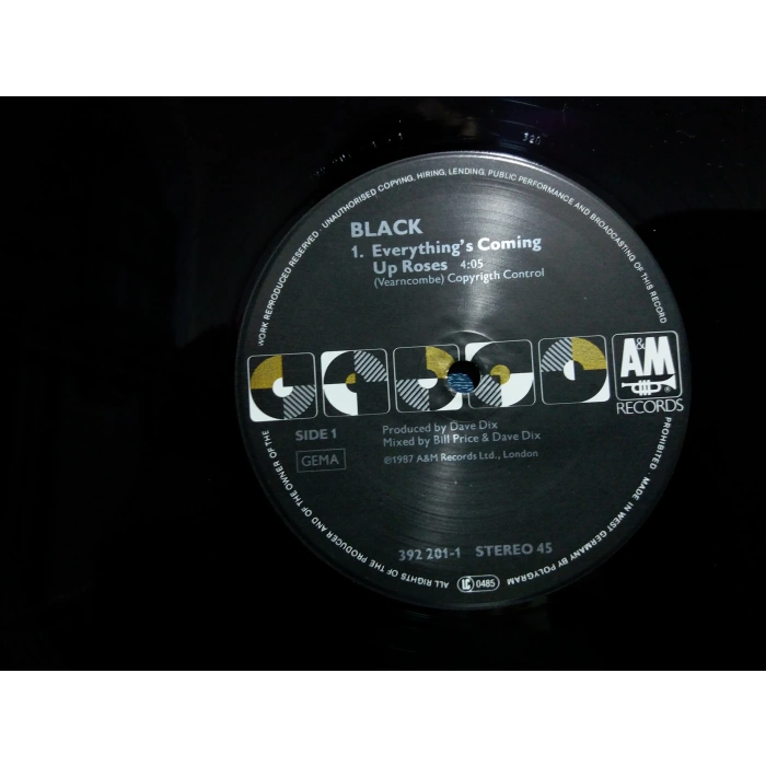 BLACK EVERYTHINGS COMING UP ROSES  MAXI LP