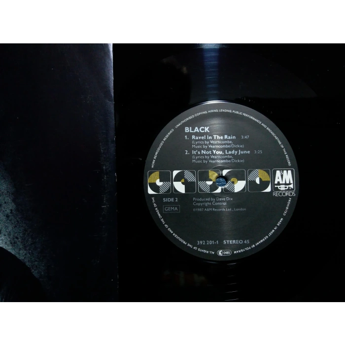 BLACK EVERYTHINGS COMING UP ROSES  MAXI LP