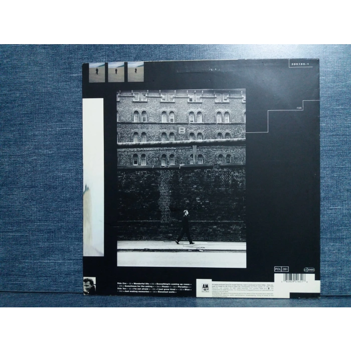 BLACK WONDERFUL LIFE LP