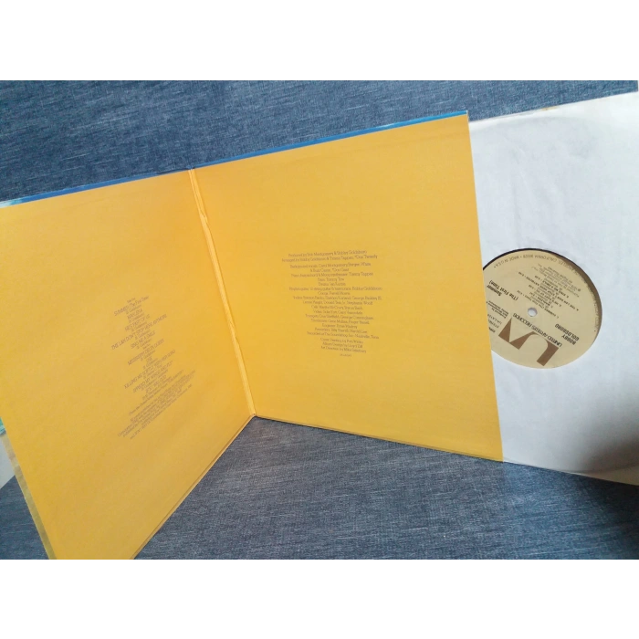 BOBBY GOLDSBORO SUMMER MUSIC LP