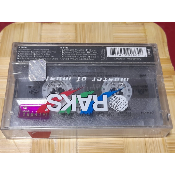 CAMOUFLAGE WE STROKE THE FLAMES MÜZİK KASET