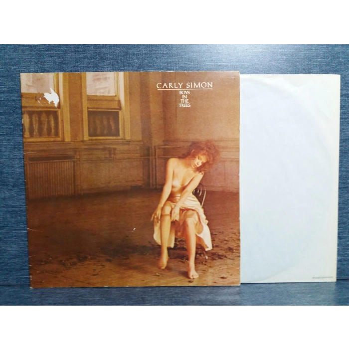 CARLY SIMON BOYS IN THE TREES PROD ARIF MARDIN