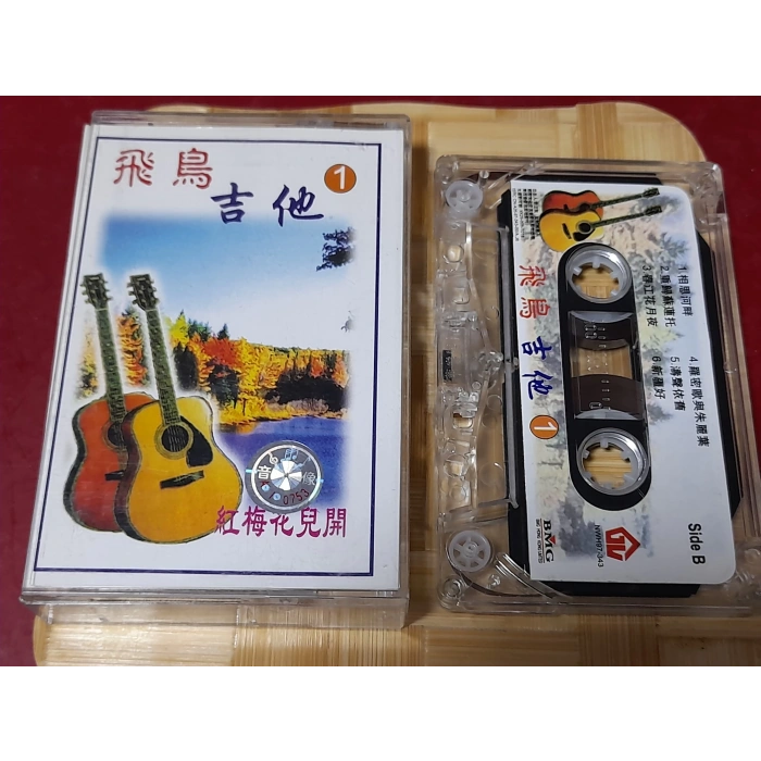 ÇİN JAPON MÜZİK KASET