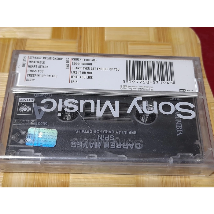 DAREN HAYES SPIN MÜZİK KASET