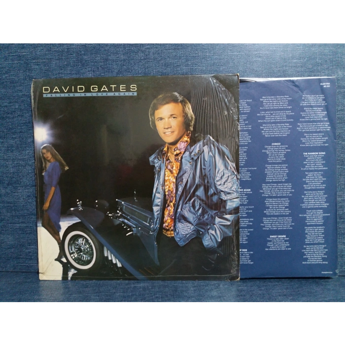 DAVID GATES FALLING IN LOVE AGAIN LP