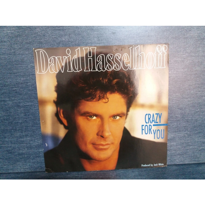 DAVID HASSELHOFF CRAZY FOR YOU MUSIC LP