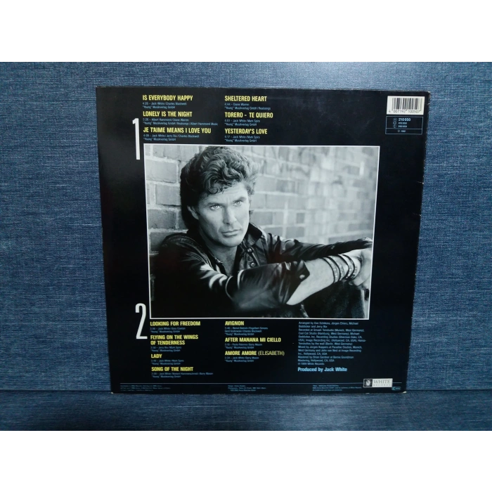 DAVID HASSELHOFF LOOKING FOR FREEDOM MUSIC LP