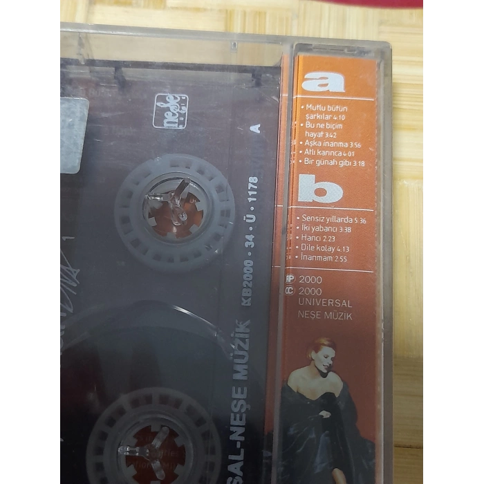 DIVA AJDA PEKKAN MÜZİK KASET