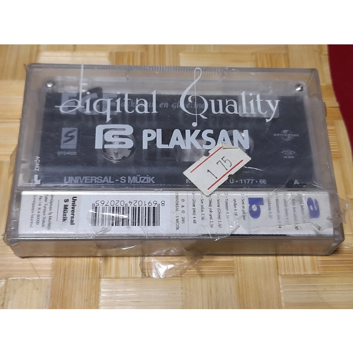 EGE AŞKLARIN EN GÜZELİNE MÜZİK KASET