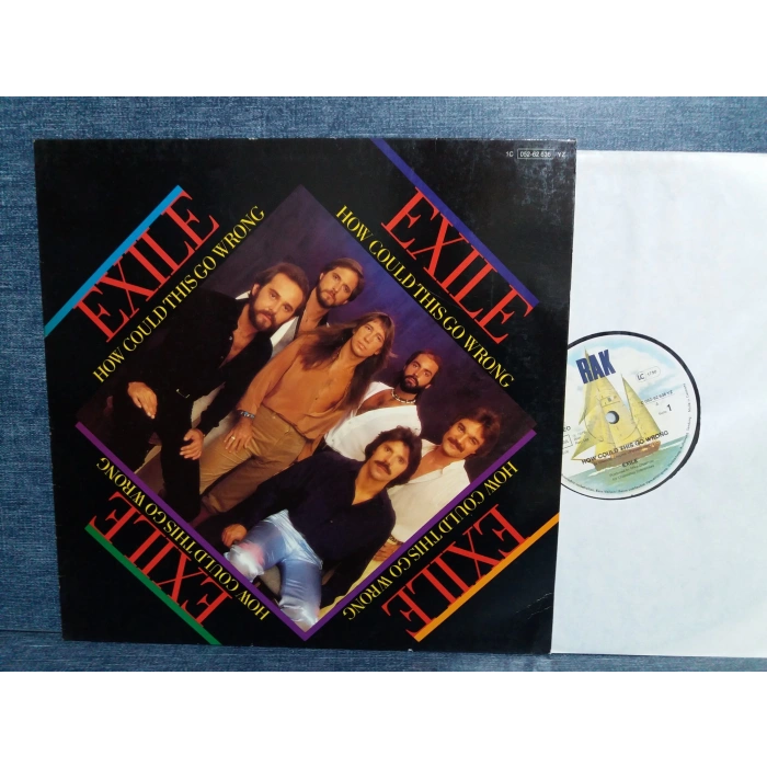 EXILE HOW COULD THIS GO WRONG MAXI LP