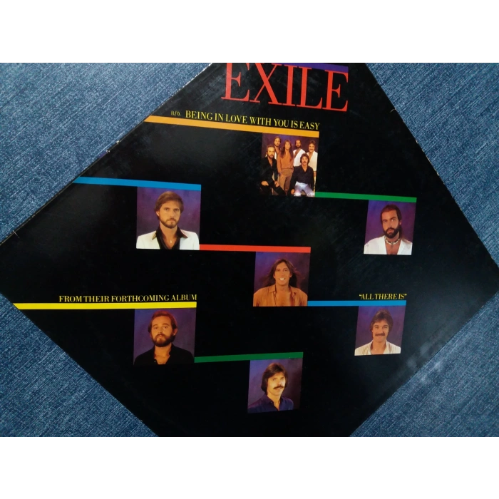 EXILE HOW COULD THIS GO WRONG MAXI LP