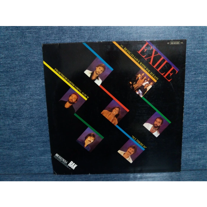 EXILE HOW COULD THIS GO WRONG MAXI LP