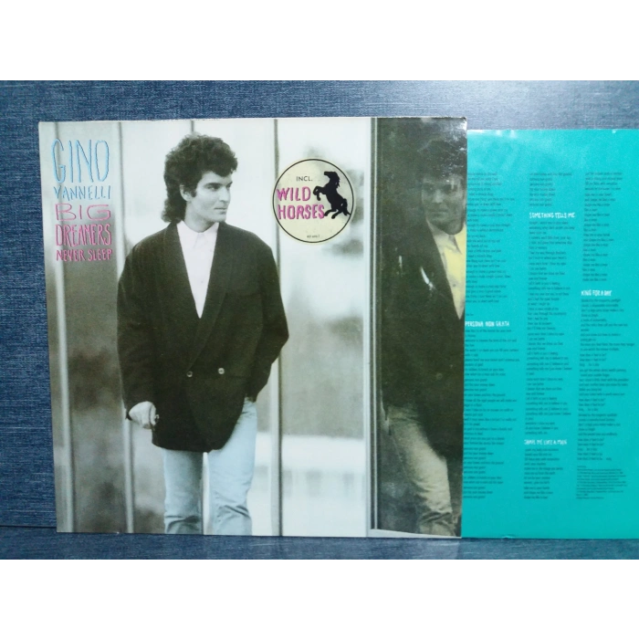 GINO VANNELLI BIG DREAMERS NEVER SLEEP