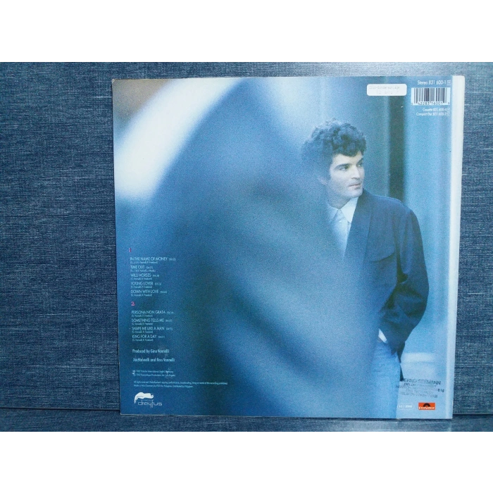 GINO VANNELLI BIG DREAMERS NEVER SLEEP