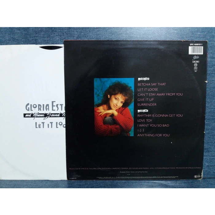GLORIA ESTEFAN LET IT LOOSE