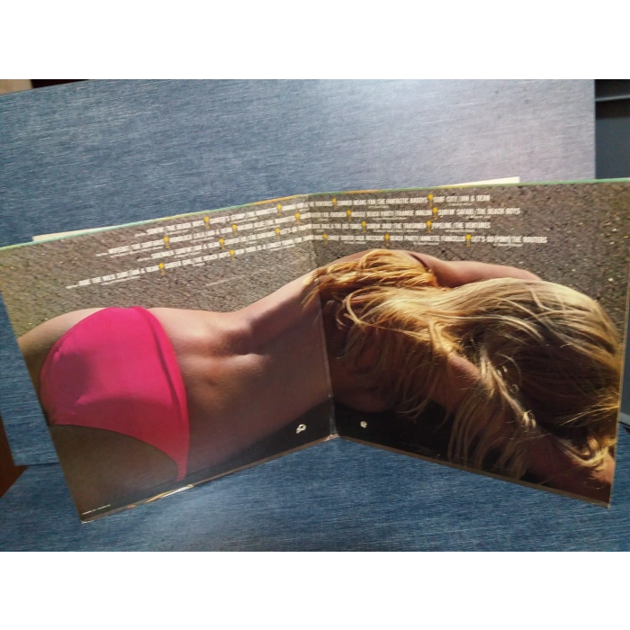 GOLDEN SUMMER HITS MUSIC 2 LP