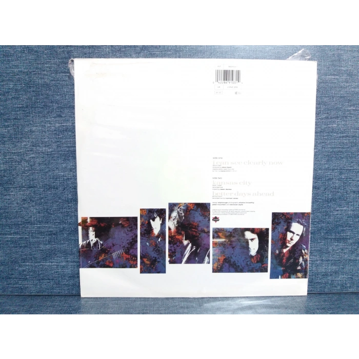 HOTHOUSE FLOWERS I CAN SEE CLEARLY MAXI LP (SIFIR)