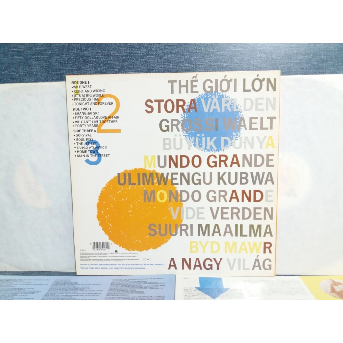 JOE JACKSON BIG WORLD MUSIC 2 LP