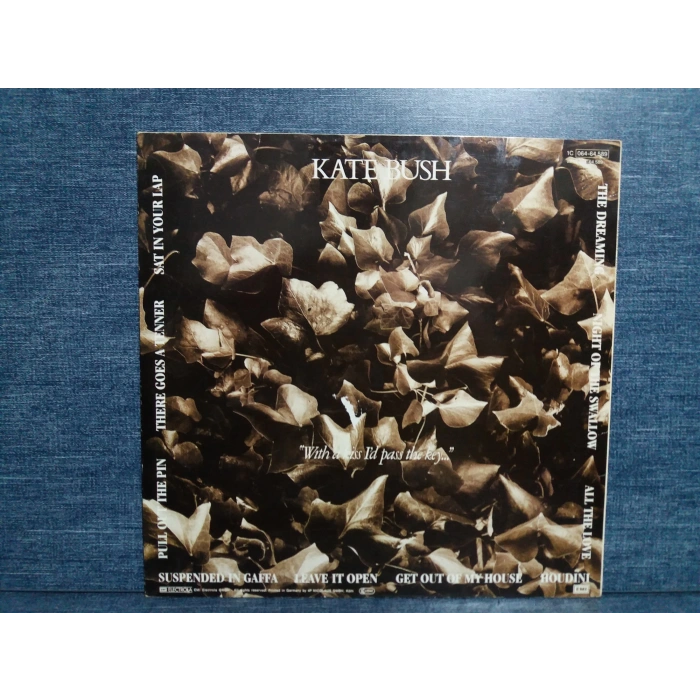 KATE BUSH THE DREAMING MUSIC LP