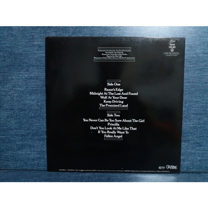 MEAT LOAF MIDNIGHT AT THE LOST AND FOUND MUSIC LP