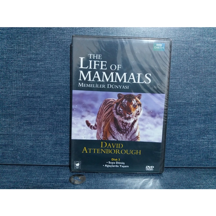 MEMELİLERİN DÜNYASI DVD FİLM