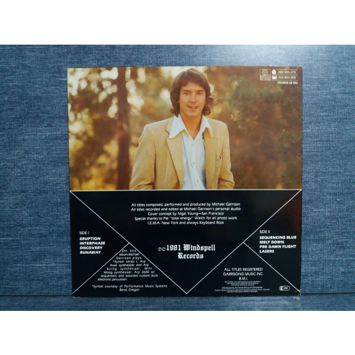 MICHAEL GARRISON PRISMS