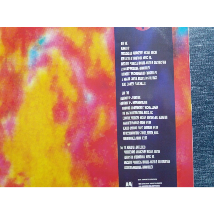 MICHAEL JUNZUN BURNIN UP MAXI LP