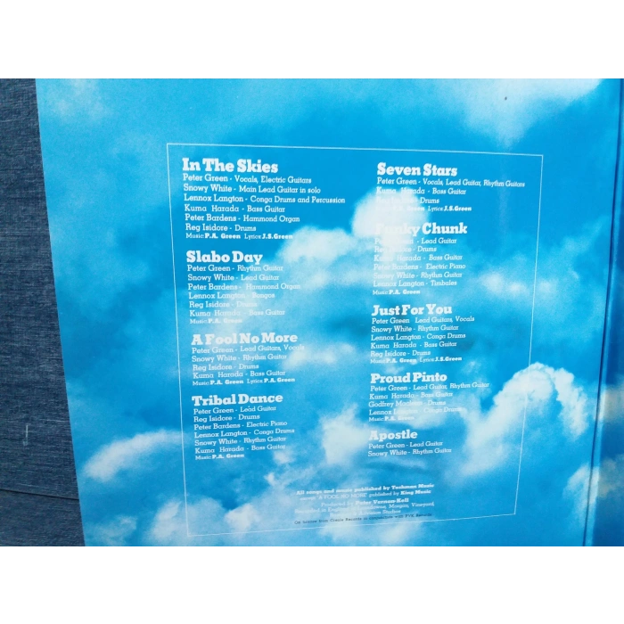 PETER GREEN IN THE SKIES MUSIC LP
