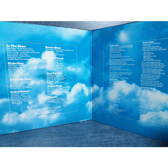 PETER GREEN IN THE SKIES MUSIC LP