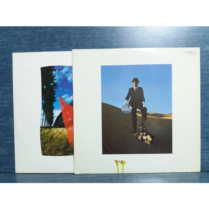 PINK FLOYD WISH YOU WERE HERE MUSIC LP