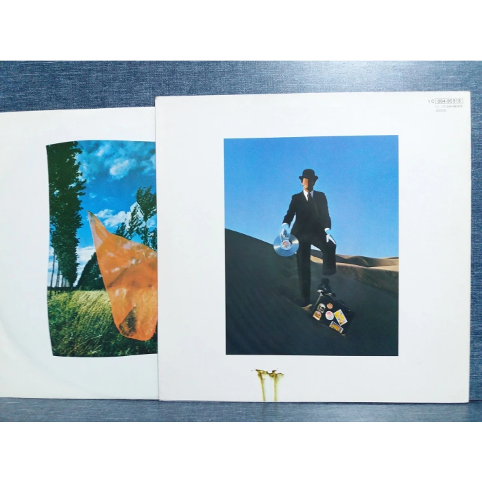 PINK FLOYD WISH YOU WERE HERE MUSIC LP
