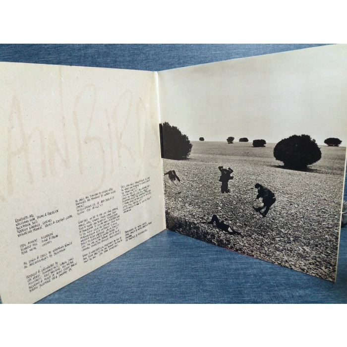 RAINBIRDS CALL ME EASY STRONG MUSIC LP