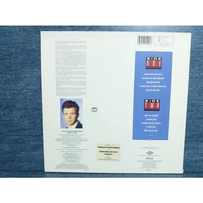 RICK ASTLEY WHENEVER YOU NEED SOMEBODY LP