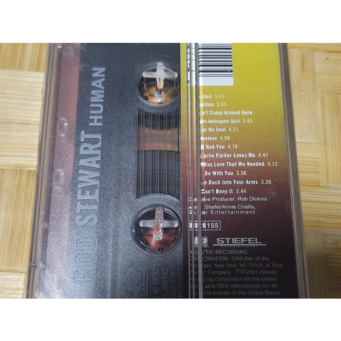 ROD STEWART HUMAN MÜZİK KASET