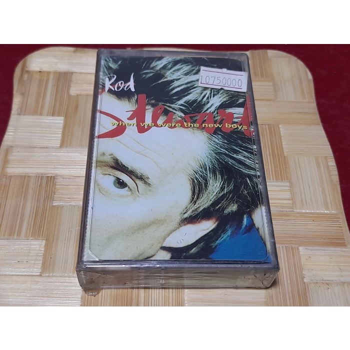 ROD STEWART WHEN WE ARE THE NEW BOYS MÜZİK KASET