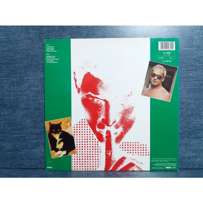 ROGER CHAPMAN SHADOW KNOWS LP