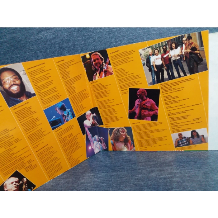 ROGER CHAPMAN SHADOW KNOWS LP