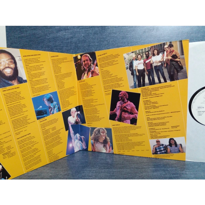 ROGER CHAPMAN SHADOW KNOWS LP