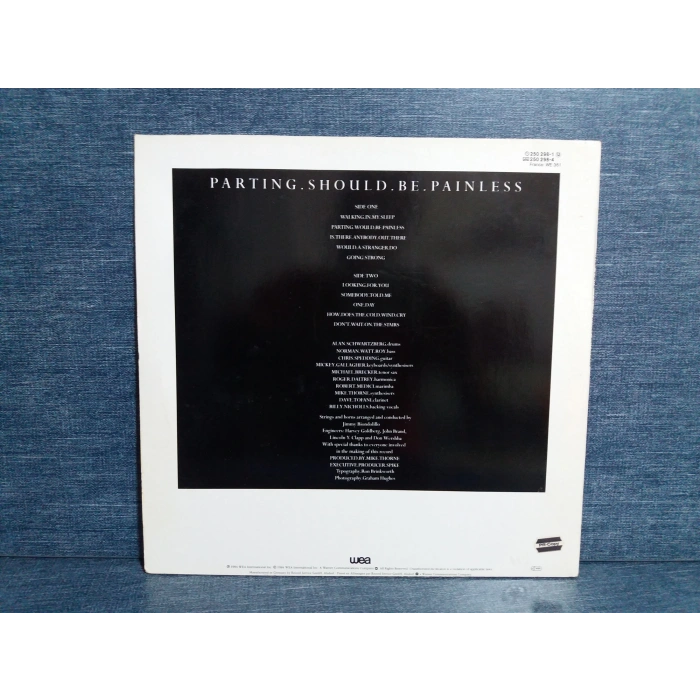 ROGER DALTREY PARTING SHOULD PAINLESS