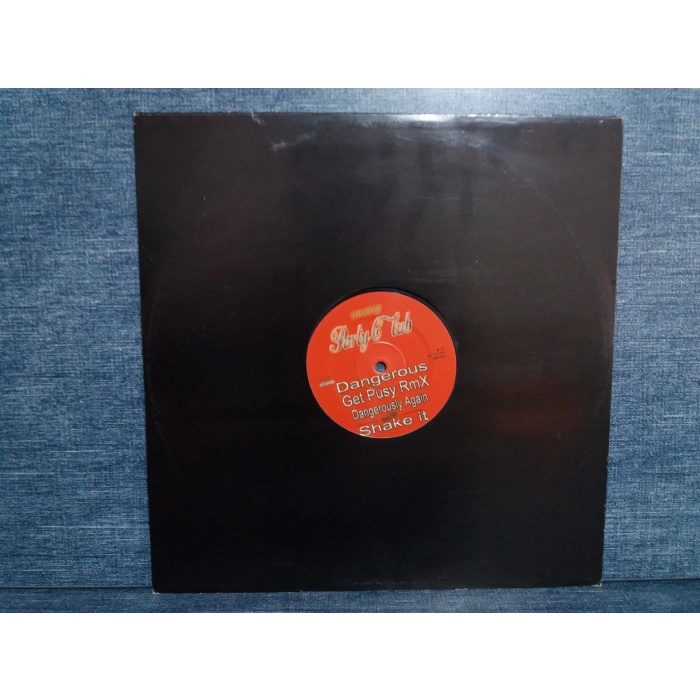 SHAKE IT PARTY INTRO  MAXI LP