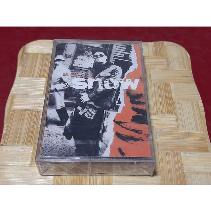 SNOW INFORMER MÜZİK KASET