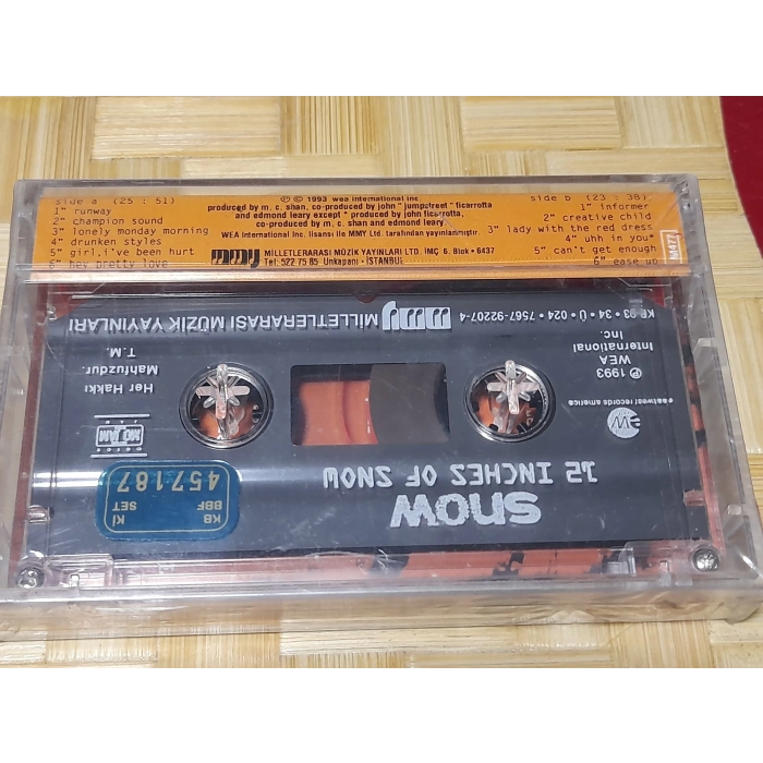 SNOW INFORMER MÜZİK KASET