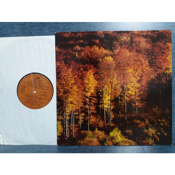 TAFELKONZERT HANDEL BACH VIVALDI HAYDN MUSIC LP