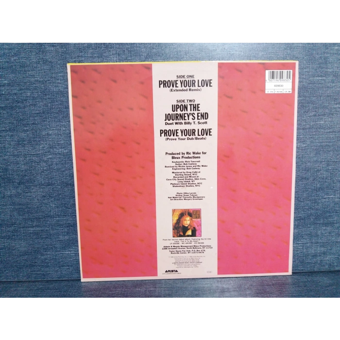 TAYLOR DAYNE PROVE YOUR LOVE  MAXI LP