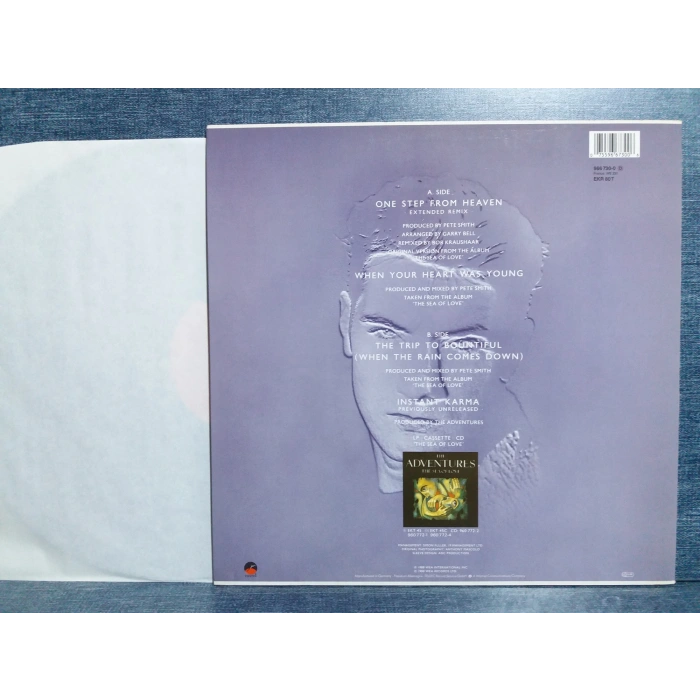 THE ADVENTURES ONE STEP FROM HEAVEN MAXI LP