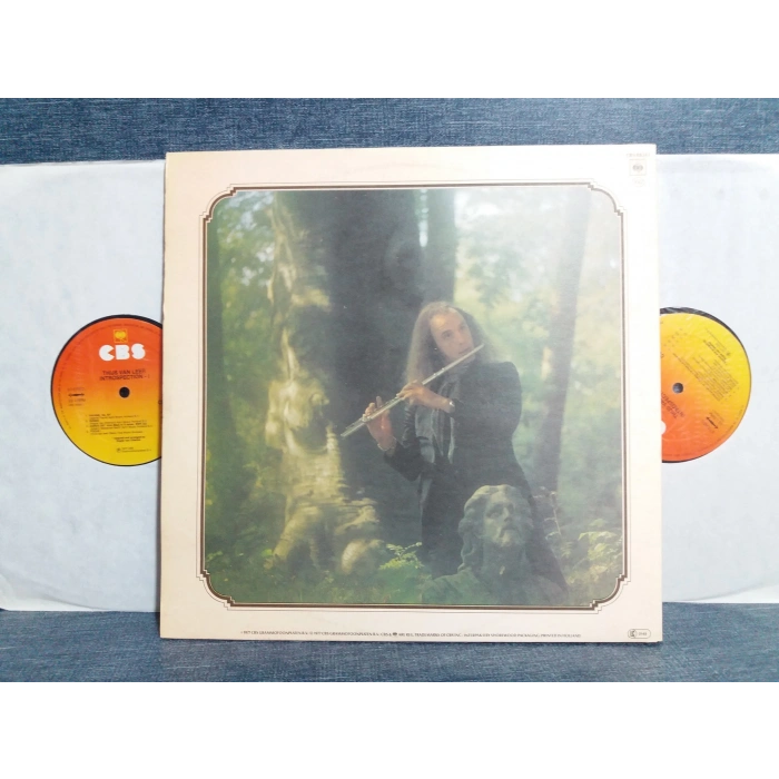THIJS VAN LEER INTROSPECTION 2 LP