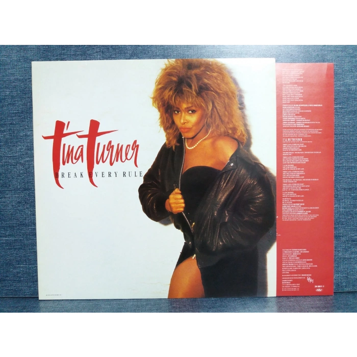 TINA TURNER BREAK EVERLY RULE LP
